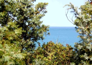 Variante urbanistica a Porto Pozzo, il GrIG chiede l’annullamento